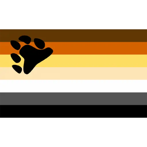 bandeiras lgbtqiapn+