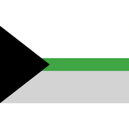bandeiras lgbtqiapn+