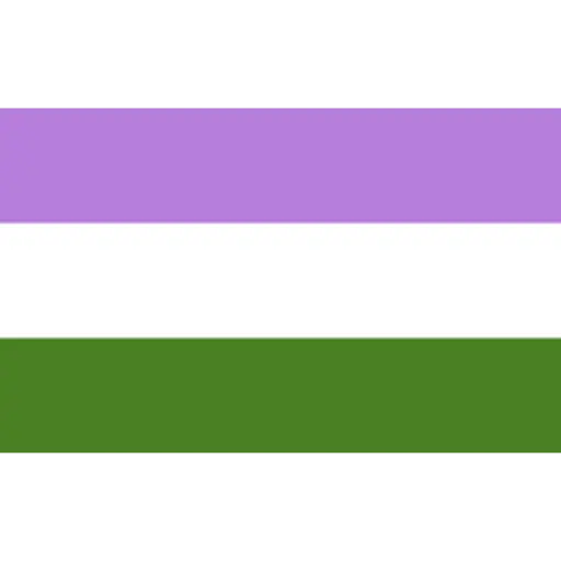 bandeiras lgbtqiapn+