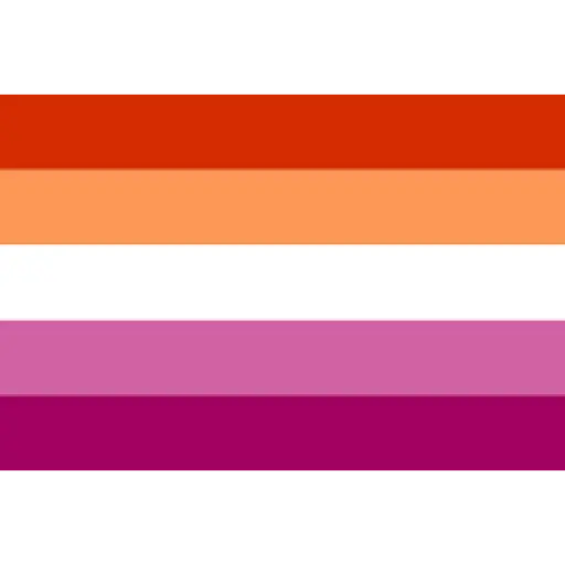 bandeiras lgbtqiapn+