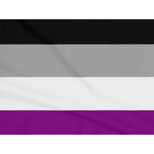 bandeiras lgbtqiapn+