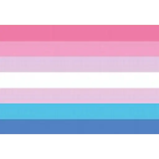 bandeiras lgbtqiapn+