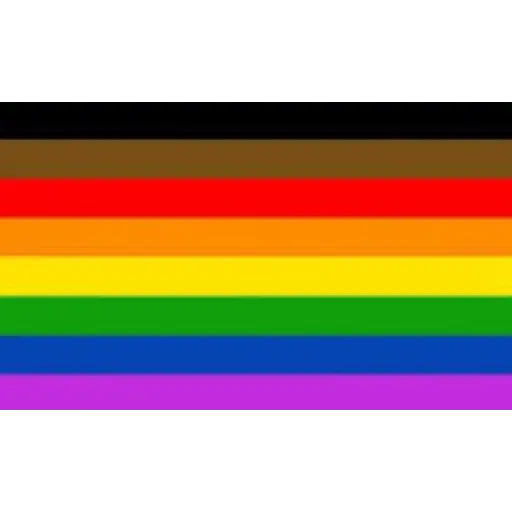 bandeiras lgbtqiapn+
