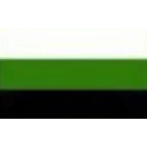 bandeiras lgbtqiapn+