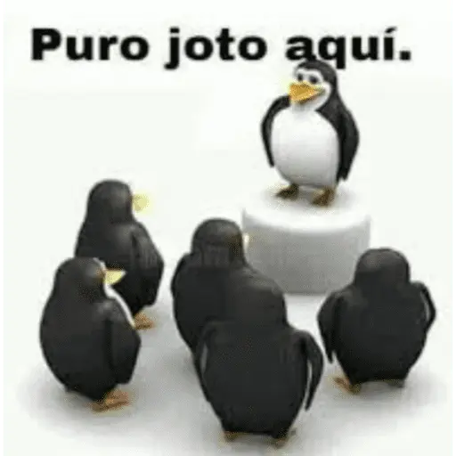 Memes random 😂