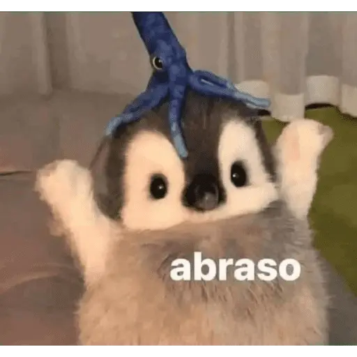 Memes random 😂