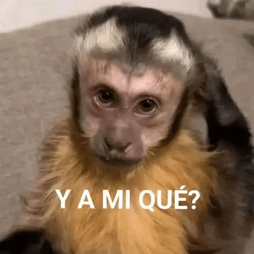 Memes random 😂