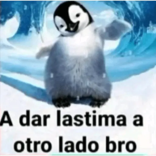Memes random 😂