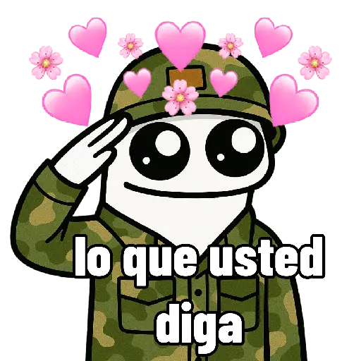 Flork soldado 🫡🩷🥰