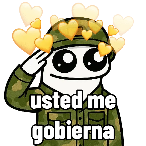 Flork soldado 🫡🩷🥰