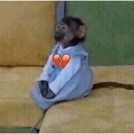 Monitos tristes 😭🐒