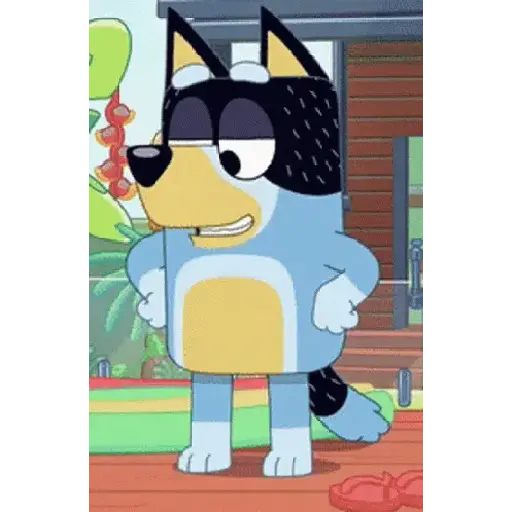bluey!💙