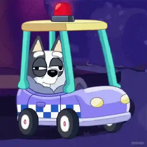 bluey!💙