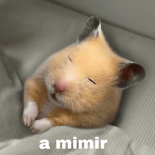 FRASES HAMSTER 🐹🥰 preview