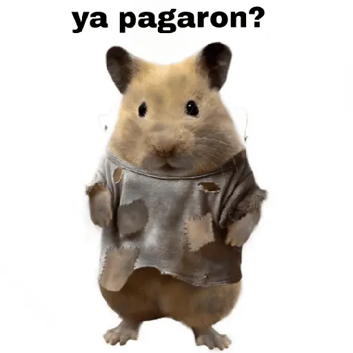 FRASES HAMSTER 🐹🥰