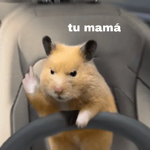 FRASES HAMSTER 🐹🥰