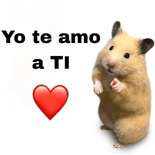 FRASES HAMSTER 🐹🥰