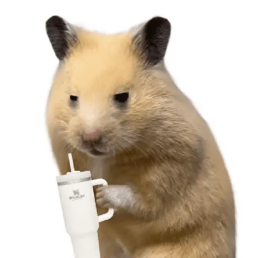 FRASES HAMSTER 🐹🥰