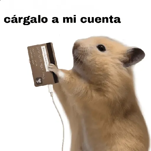 FRASES HAMSTER 🐹🥰
