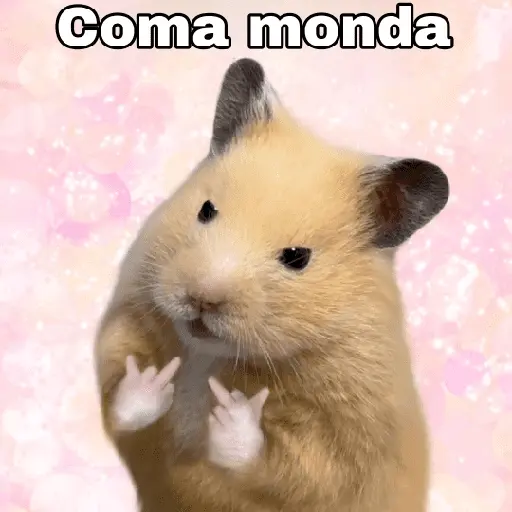 FRASES HAMSTER 🐹🥰