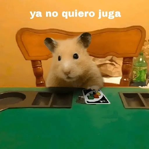 FRASES HAMSTER 🐹🥰