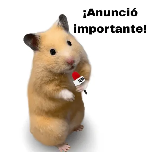 FRASES HAMSTER 🐹🥰