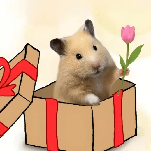 FRASES HAMSTER 🐹🥰