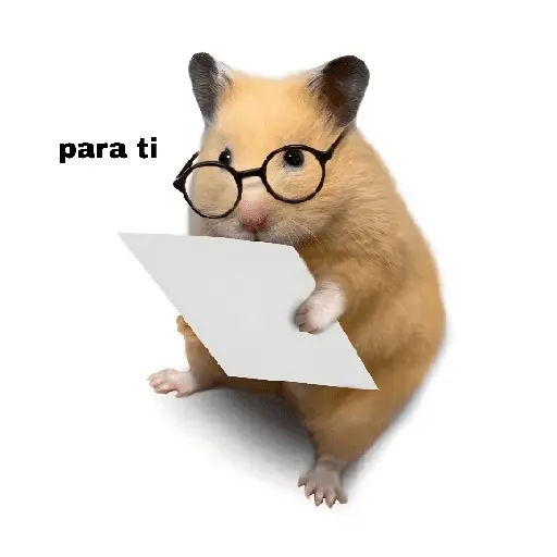 FRASES HAMSTER 🐹🥰
