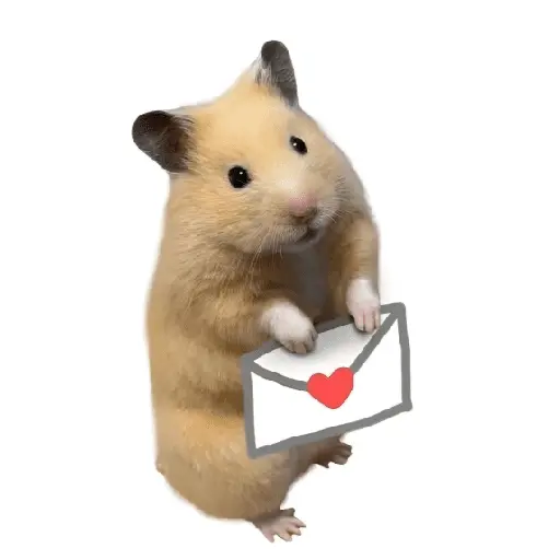 FRASES HAMSTER 🐹🥰