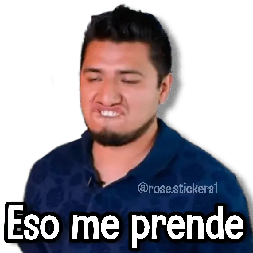 Memes Pal Grupo 3🗣️