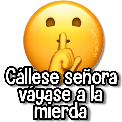 Memes Pal Grupo 3🗣️