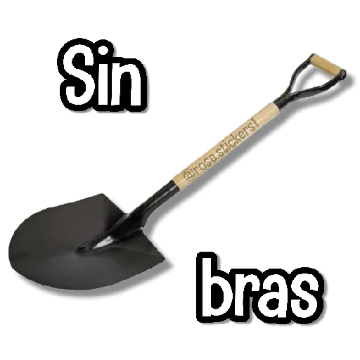 Memes Pal Grupo 3🗣️