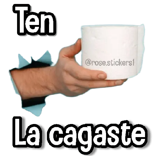 Memes Pal Grupo 3🗣️