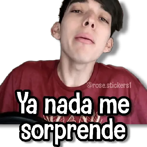 Memes Pal Grupo 3🗣️