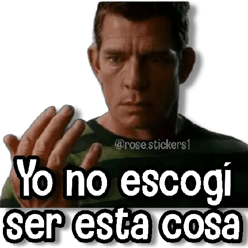 Memes Pal Grupo 3🗣️