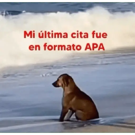 stickers de texto 2