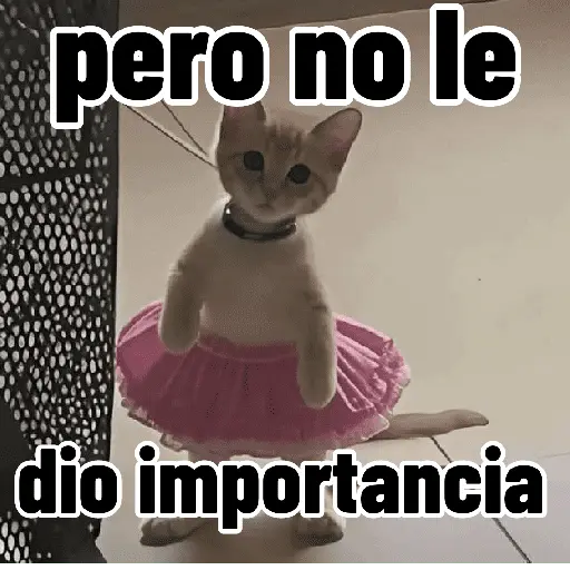 Gatos para contestar 😜 🐱