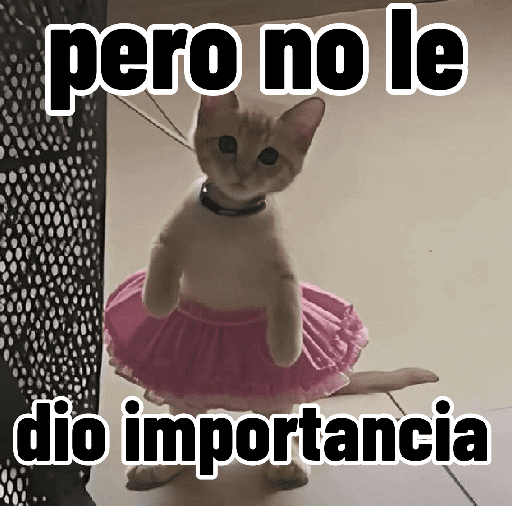 Gatos para contestar 😜 🐱 preview