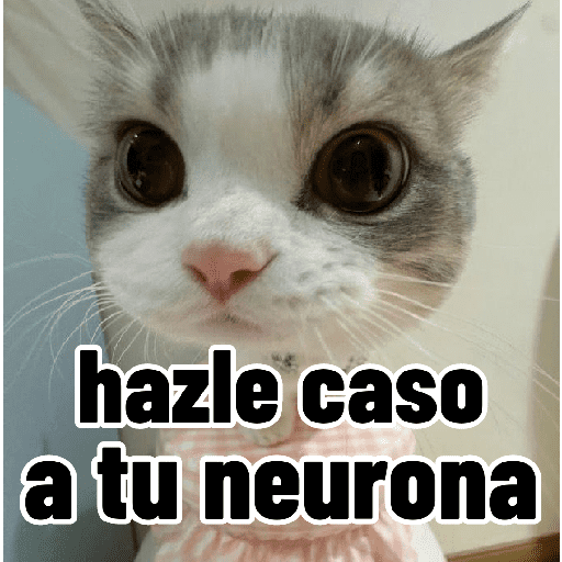 Gatos para contestar 😜 🐱 preview