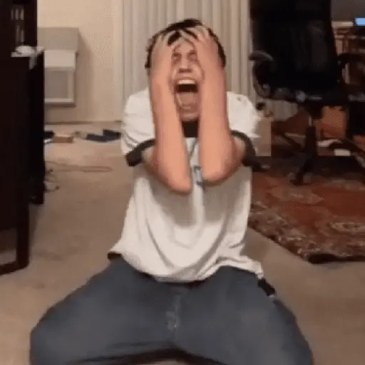 🎵🫟TIKTOK Stickers|Memes🫟🎵
