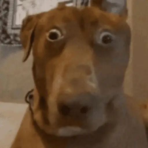 🎵🫟TIKTOK Stickers|Memes🫟🎵