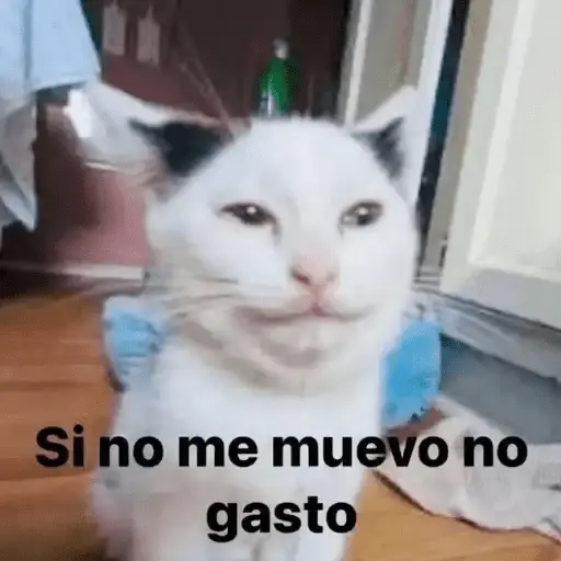 Memes 3.0🫆🧿