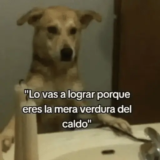 Memes 3.0🫆🧿