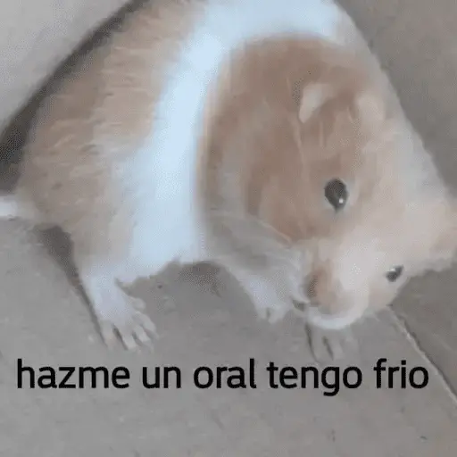 Memes 3.0🫆🧿