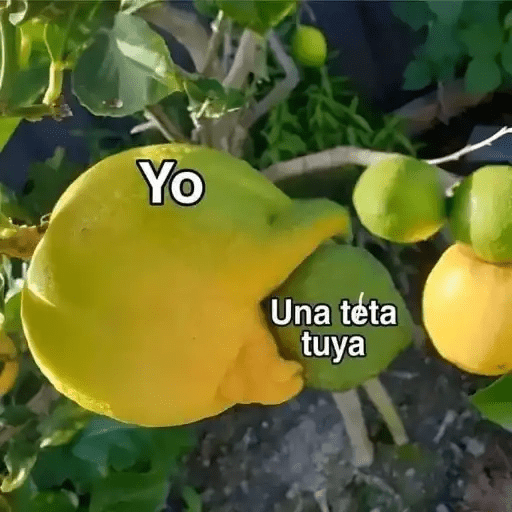 Memes 3.0🫆🧿 preview