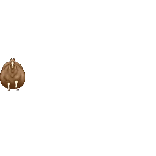 fat horse