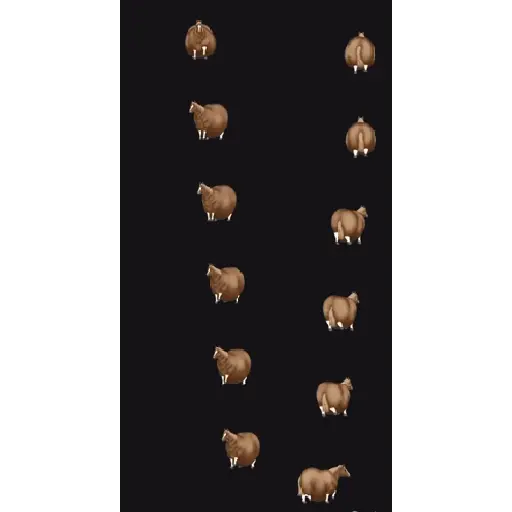 fat horse