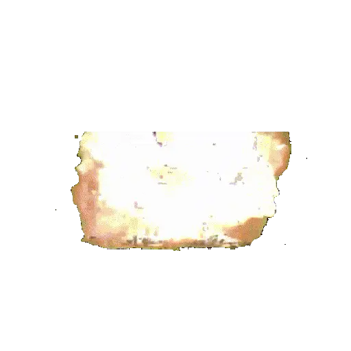 fat horse preview