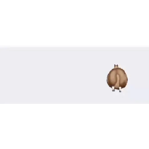 fat horse