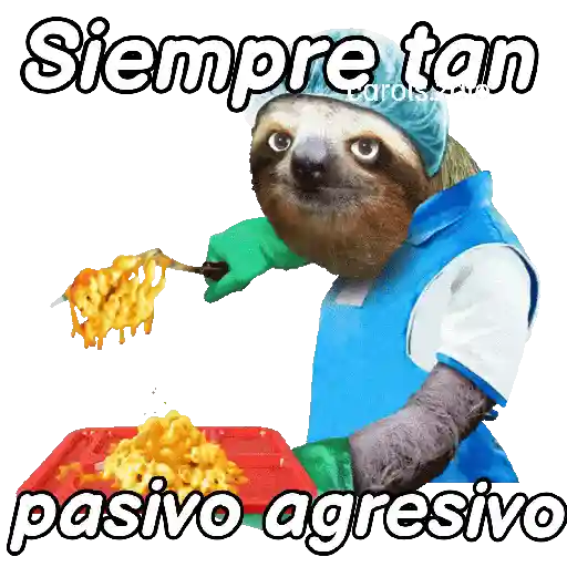 Animales Random pa contestar 💬